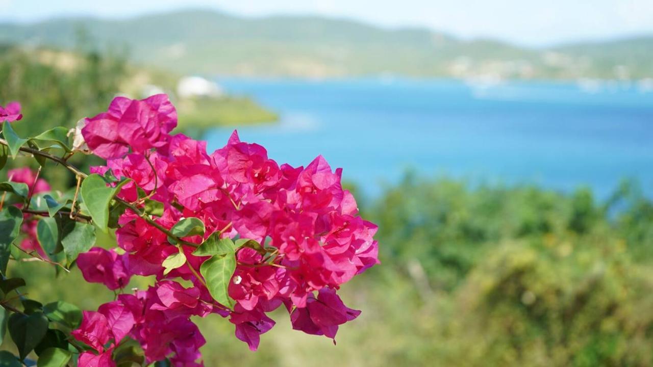 Coqui Beach Home, Culebra Isla Culebra Luaran gambar