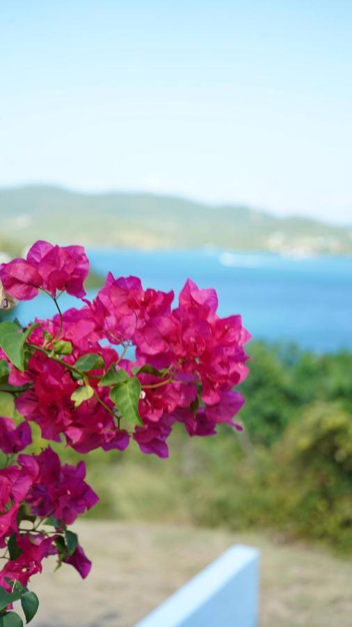 Coqui Beach Home, Culebra Isla Culebra Luaran gambar